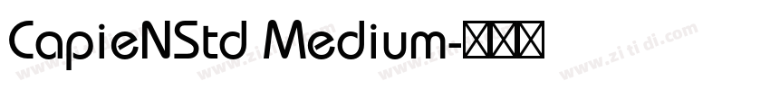 CapieNStd Medium字体转换